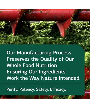 Standard Process C Synergy - Immune Support & Antioxidant with Echinacea, Rose Hips & Mushroom Powder - 90 Tablets - Buy Online on GoSupps.com