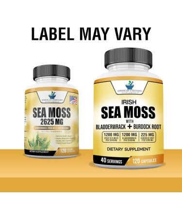 American Standard Supplements Irish Sea Moss, Bladderwrack, and Burdock Root Capsules - 1200mg/1200mg/225mg - Vegan, Gluten Free, Non-GMO - 120 Capsules - Buy Online on GoSupps.com