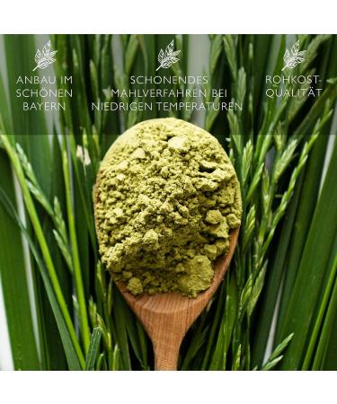 Organic Gerstengrass Powder 550g - Bavarian Barley Grass | Vegan & Lab-Tested | Premium Quality from Germany - Buy Online on GoSupps.com
