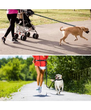 Philorn Hands Free Dog Lead with Phone Pouch - Running/Jogging Leash, Shock Absorbing Bungee, Reflective Stitching, Blue - Buy Online on GoSupps.com