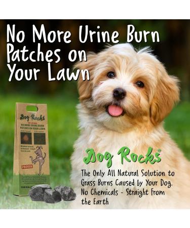 Dog Rocks 100% Natural Urine Patch Preventer - 200g Bag - Buy Online on GoSupps.com