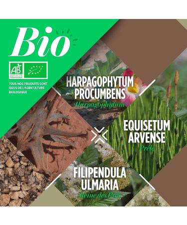 Organic Joint 400 mg - 120 tablets - Harpagophytum Horsetail Meadowsweet - Buy Online on GoSupps.com