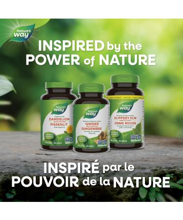 Nature's Way Slippery Elm Bark 1600 mg - 100 Vegan Capsules for Digestive Health - Buy Online on GoSupps.com