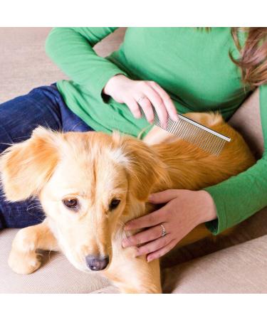 Stainless Steel Pet Comb for Dogs & Cats | Rounded Teeth | Ideal for All Fur Types | Durable & Ergonomic Design (19 x 4 cm) - Buy Online on GoSupps.com