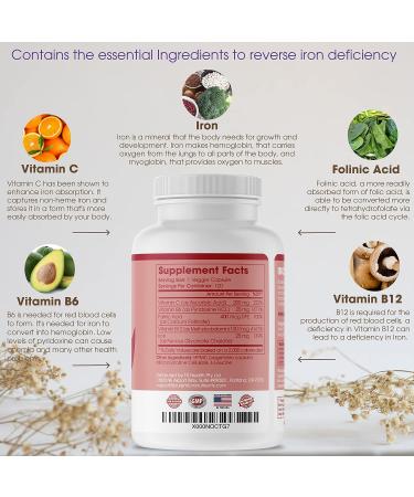 Iron Supplement 25mg + Vitamin C B6 B12 Folic Acid - 120 Count - For Men & Women - Energy Support & Anemia Relief - Buy Online on GoSupps.com