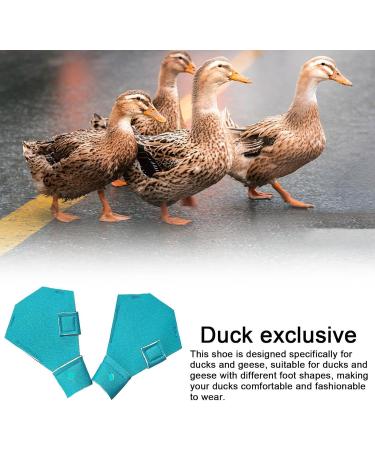 higyee Wildlife Protection Shoes - Anti-slip Protection Shoes for Wildlife | Shoes for Goose and Large Ducks Birds Hens Duck Accessories - Buy Online on GoSupps.com
