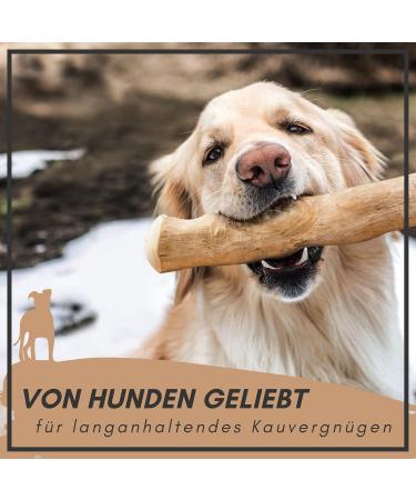 Supravit Natural Chewing Bones for Dogs | Exciting Coffee Wood Dog Toys | Long-Lasting Chewing Fun | Caustab Chewing Wood - Buy Online on GoSupps.com