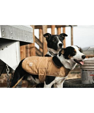 Buy Carhartt Herren Firm Duck Insulated Dog Chore Coat - Medium Carhartt Braun | Best International Shipping - Buy Online on GoSupps.com