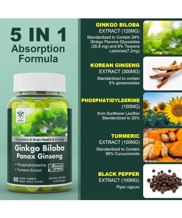 2 Pack Ginkgo Biloba 120mg Gummies | Memory & Focus Supplement with Panax Ginseng  Phosphatidylserine & Turmeric | Sugar Free | Brain Clarity & Energy Boost - Buy Online on GoSupps.com