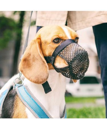 TRIXIE Poisoned Bait Protection Polyester - Size S Black | International Shipping Available - Buy Online on GoSupps.com