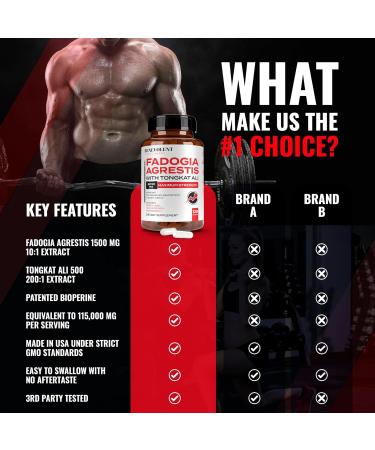 Fadogia Agrestis 1500mg with BioPerine - High Purity Supplement for Stamina Muscle Growth & Recovery | 120 Capsules 3rd Party Tested - Buy Online on GoSupps.com