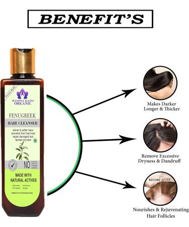Blessfull Healing Organic Fenu Greek Hair Cleanser | Shampoo 100 ML (Packing May Vary) - Buy Online on GoSupps.com