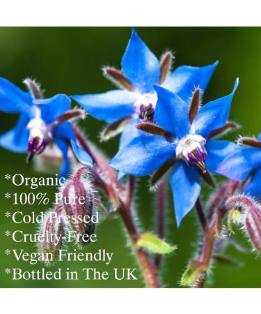 Feelia Organic Borage Oil - Cold Pressed, Rich in Omega 6 - 100ml - Buy Online on GoSupps.com