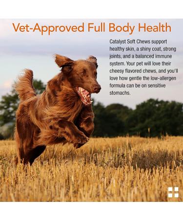 Animal Pharmaceuticals Catalyst+ Omega 3 Fish Oil for Dogs & Cats - Allergy & Shedding Supplement - Cheese Flavor Soft Chews - 120 ct - Buy Online on GoSupps.com