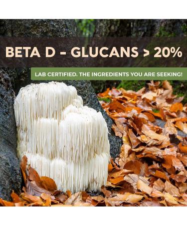 Longevity Botanicals Organic Lions Mane Mushroom Powder - 100% Fruiting Body Supplement for Mental Clarity & Memory - 100g - Buy Online on GoSupps.com