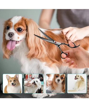 Intini 7.5 Curved Dog Grooming Scissors | Professional Pet Grooming Shears with Safe Round Tips | Dematting Tool for Thick-Haired Dogs | Light Weight Shears for Right and Left Hands - Buy Online on GoSupps.com