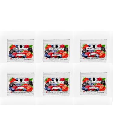 Dr. Doolittle s Sugar Free Pastilles for Voice and Throat Wild Berry Flavor Travel Size Bag 0.33 ounces approximately 4 Count Package 6 Pack 4 Count (Pack of 6)