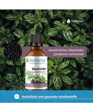 Bioherba Juniper Drops - Juniperus Communis L. Tincture 50ml with Vitamin B12 for Nervous System Support | PZN 18218024 - International Shipping Available - Buy Online on GoSupps.com