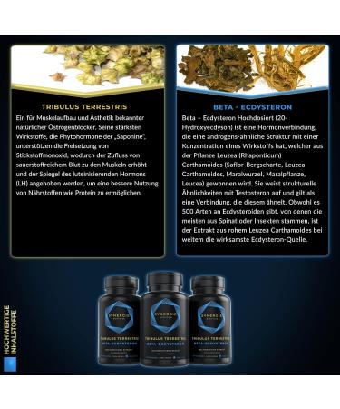 Beta Ecdysterone + Tribulus Terrestris | High Dose Muscle Building Fitness Booster | 60 Daily Doses | 95% Ecdysterone & 92% Saponins - Synergy Nutrition - Buy Online on GoSupps.com