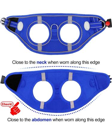 Joyal Dog Harness - Reflective Soft Padded & Breathable Mesh for Small to Medium Dogs | King Blue (L: 47-55cm) - Buy Online on GoSupps.com
