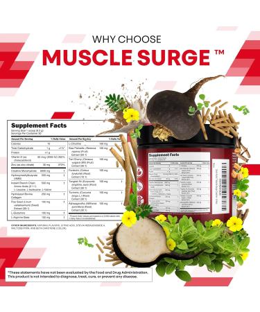 Clean Nutra Creatine Powder for Men + HMB BCAA L Arginine L Citrulline Tongkat Ali Saw Palmetto Ashwagandha Collagen Flax Seed Turmeric Preworkout Stevia Nitric Oxide L Glutamine Amino Acids - Buy Online on GoSupps.com