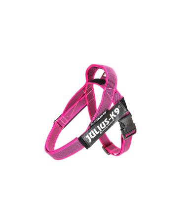 Julius-K9 IDC Color & Gray Belt Harness Size: XS / Mini-Mini Pink-Gray Pink-Gray XS/Mini-Mini