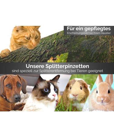 Buy Stainless Steel Splinter Tweezers with Notch - 9 cm | International Shipping Available - Buy Online on GoSupps.com