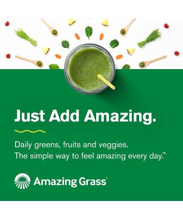 Buy Amazing Grass Protein Superfood Chocolate Peanut Butter 15.1 oz - Nutrient-Dense Protein Blend - Buy Online on GoSupps.com