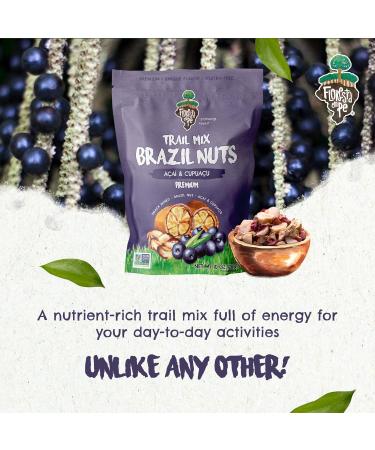True Organic Brazil Nuts Roasted A ai Fruit Nibs Premium Snack Mix - 10 OZ | Floresta em P - Buy Online on GoSupps.com