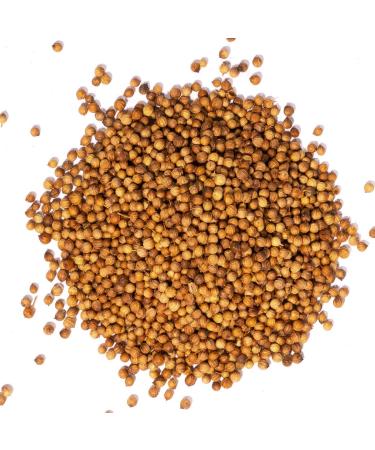 Bremer Gew rzhandel Whole Coriander Seeds - 75g for Cooking & Baking | Premium Quality Spice - Buy Online on GoSupps.com