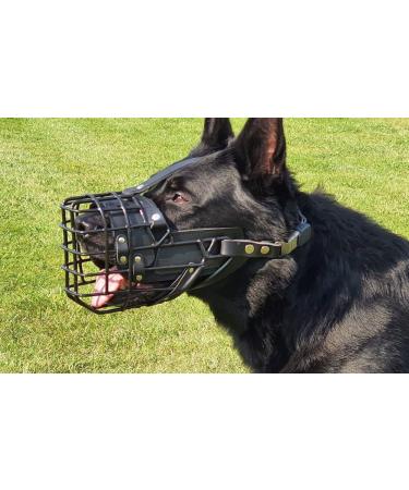 Dingo Gear Rubberized Metal Muzzle for Medium Dogs - Comfortable & Durable Solution for German Shepherds - Ideal for Long Walks | S03041 - Buy Online on GoSupps.com