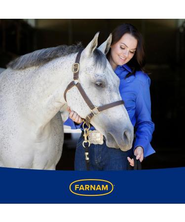 Farnam Apple Elite Horse Electrolyte Powder, Replaces minerals lost in sweat during exercise, extreme weather & stressful conditions, 5 lb., 40 day supply - Buy Online on GoSupps.com