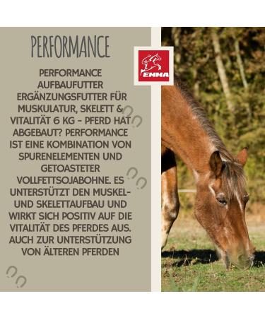 Soybean meal horse I Dietary supplement for musculature skeleton vitality I Amino acids horses Muscle muscle Soy protein I Vitamin BE complex Zinc Biotin Selenium horse 6 kg - Buy Online on GoSupps.com