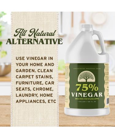 Ecoxall 75% Pure Vinegar - 1 Gallon Industrial Strength Natural Cleaner | 100% Concentrated Bleach & Ammonia Alternative - Eco-Friendly Solution - Buy Online on GoSupps.com