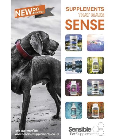 Sensible Pet Supplements 'Digestion' | Probiotic paste for dogs and cats. Supporting healthy gut function. | Contains probiotics prebiotics and bentonite clay | (60ml) 60 ml (Pack of 1) - Buy Online on GoSupps.com