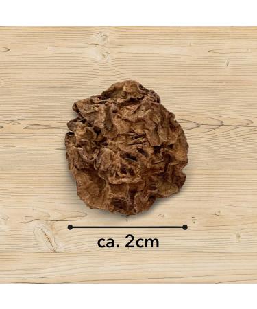 LEO L WENKATZ Matatabi Fruits - Intense Catnip Alternative | Premium Cat Toys for Happy Felines - Buy Online on GoSupps.com