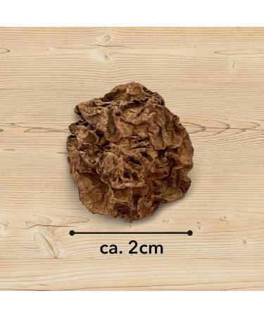 Leo Lwenkatz Matatabi Set - Dried Matatabi Fruits (30g) & 5 Catnip Sticks for Cats - Best for Cat Wellness & Play - Buy Online on GoSupps.com