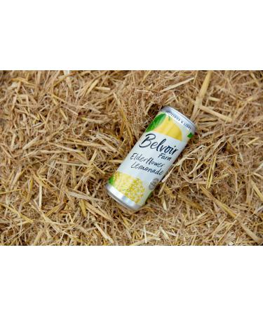 Belvoir Farm - Elderflower Lemonade Delicious and Light Natural Hand-Picked Elderflowers Crafted with Nature Low in Sugar and Calories Gluten Free Suitable for Vegans & Vegetarians 24x330ml Elderflower 7.92 l (Pack of 1) - Buy Online on GoSupps.com