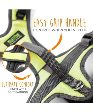 Mighty Paw Sport Harness 2.0 - Padded Adjustable Dog Harness with Reflective Seams (X-Large Green) | International Shipping Available - Buy Online on GoSupps.com