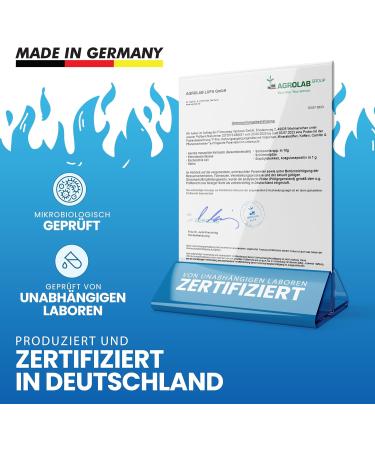 PureFitness F-Fire Metabolism Booster with Caffeine & Green Tea - 100 Strongly Dosed Capsules for Men & Women | Vitamins B1 B2 B6 B12 & Niacin - Buy Online on GoSupps.com