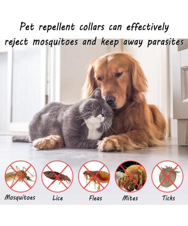 Buy Longhao Waterproof Dog Flea Collar (2 PCs) - Adjustable Tick Protection for Dogs & Cats Fits All Sizes - Shop Now! - Buy Online on GoSupps.com