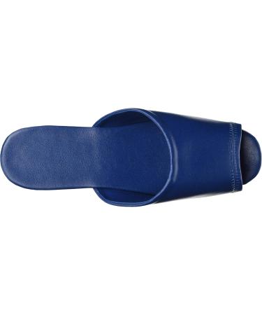 DX slippers L Con SSK-5243 Fall antibacterial before (japan import) - Buy Online on GoSupps.com