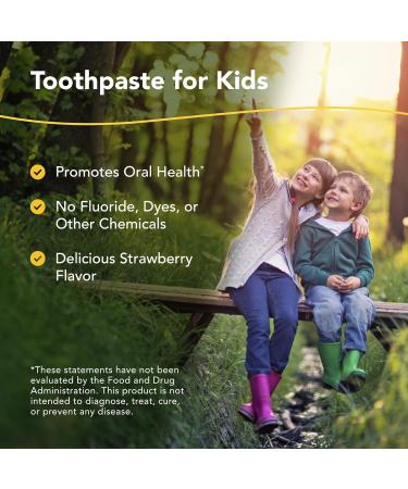 North American Herb & Spice Kid-e-Kare Strawberry Toothpaste 3.4 oz | All-Natural Fluoride-Free Sugar-Free Formula for Kids - Buy Online on GoSupps.com