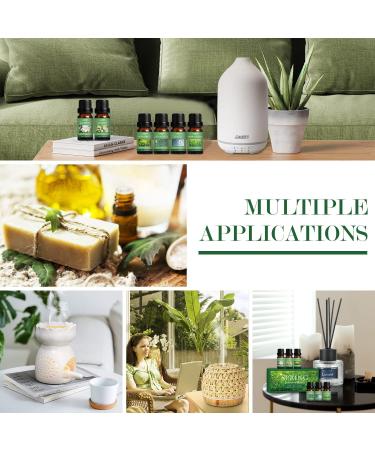 Spring Essential Oils Set for Aromatherapy and Candle Making - Gardenia, Jasmine, Peppermint, Fresh Cut Grass, Spring Rain Breeze Scent Oil - Buy Online on GoSupps.com