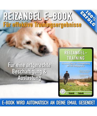Gizzy NEW Road Deficiency Dogs XL - Professional Angel Fear Toy for Large Dogs | Boost Physical & Mental Occupancy | Robust & Easy to Clean + eBook Included - Buy Online on GoSupps.com