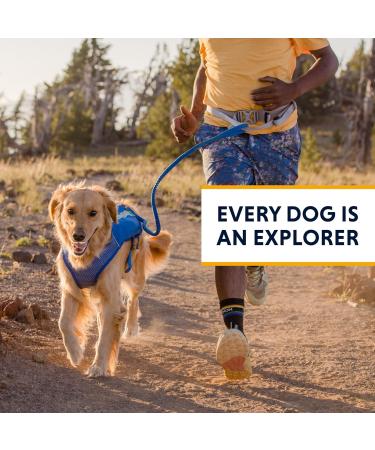 RUFFWEAR Trail Runner Belt Comfortable Hands-Free Hip Belt - Blue Pool Small/Medium - Buy Online on GoSupps.com