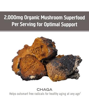 Om Mushrooms Chaga Powder - Certified Organic 7.05 oz (200g) | 100% Pure Mushroom Supplement - Buy Online on GoSupps.com
