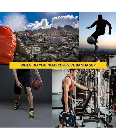 JClife Self-Adhesive Elastic Bandage - 6 Roll Set Multi-Colored 5cm x 450cm for Sports Injuries & Pet Care | Medical Fixing Tape - Buy Online on GoSupps.com