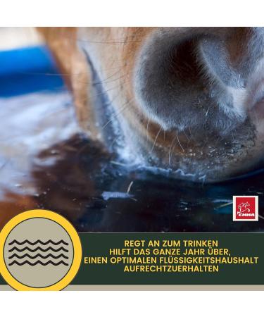 100% Natural Electrolyte Powder with Amino Acids for Horses | Hydrating Performance & Recovery Formula | 700g | Vitamins & Magnesium Included - Buy Online on GoSupps.com