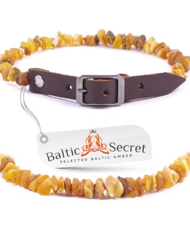 Amber necklace dog tick protection dogs amber collar dogs fleas dog tick protection cat by Baltic Secret 65-70